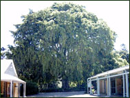pict0049.jpg